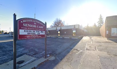 A BETTER ALTERNATIVE TO SENIOR CARE, INC — homepage