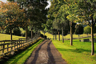 A PATH OF CARE HOSPICE — homepage