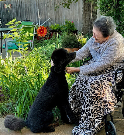 Abiding Joy Senior Care Home — homepage