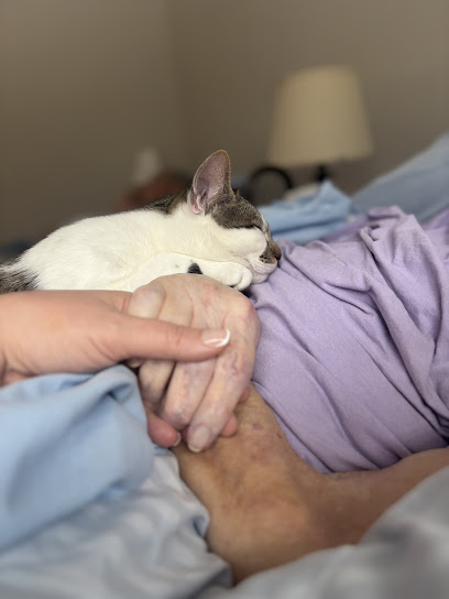 AT HOME HOSPICE AND PALLIATIVE CARE LLC. — homepage