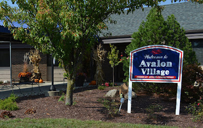 AVALON VILLAGE — homepage