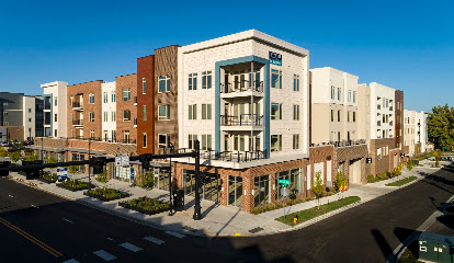 Avenue 81 Assisted & Independent Living — homepage