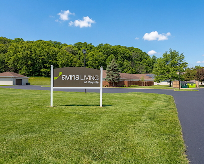 Avina of Mayville — homepage