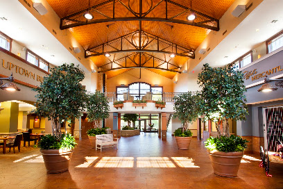 Avita Assisted Living and Memory Care — homepage