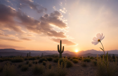 AZ SUNSET HOSPICE — homepage