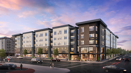 Bellara Senior Living — homepage