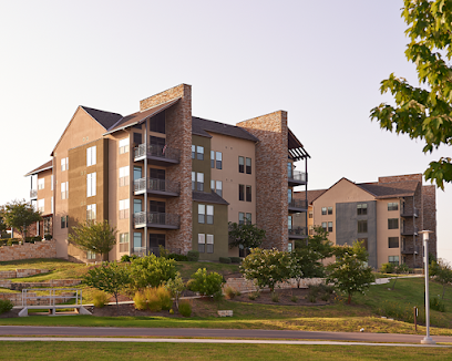BLUE SKIES HOSPICE — homepage