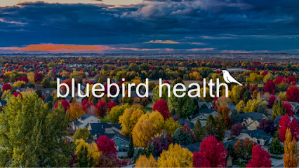 BLUEBIRD HOME HEALTH — homepage