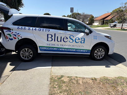 BlueSea Care Services — homepage