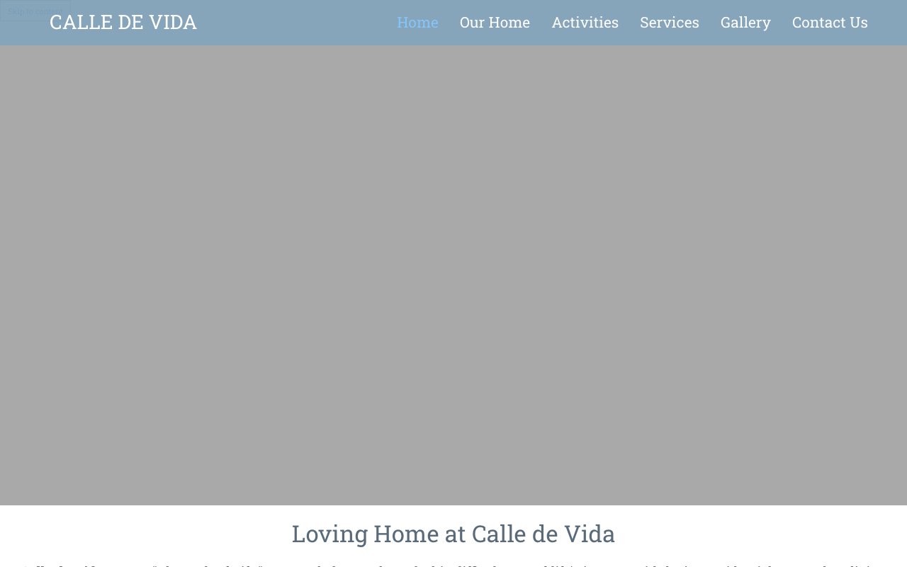 Calle de Vida — homepage