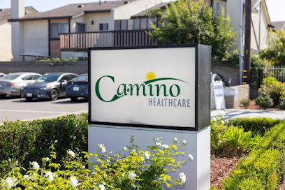 CAMINO HEALTHCARE — homepage