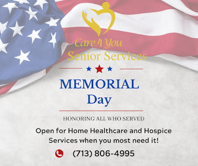 CARE 4 YOU SENIOR SERVICES — homepage