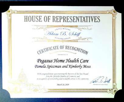 CAREGIVER HOME HEALTH — homepage