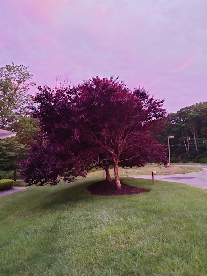 CAREONE AT MIDDLETOWN — homepage