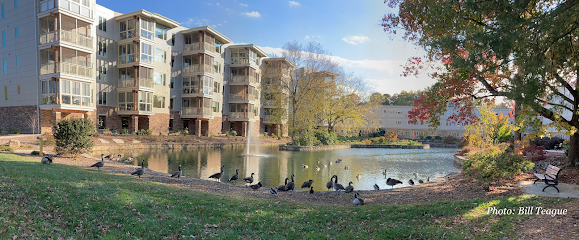 Carolina Village Inc — homepage