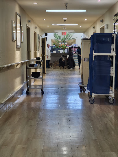 CERRITOS VISTA HEALTHCARE CENTER — homepage