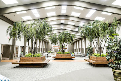 Chateau Living Center — homepage