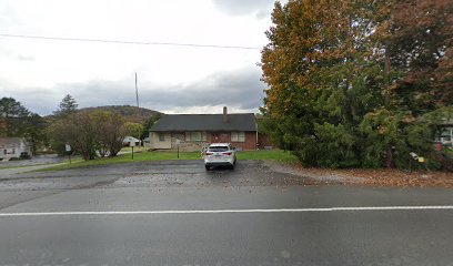 COMMUNITY NURSING SERVICE OF CLINTON CO INC — homepage