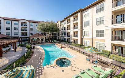 Conservatory At Plano — homepage