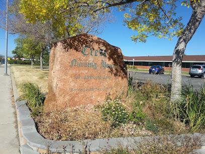 CREST NURSING HOME — homepage