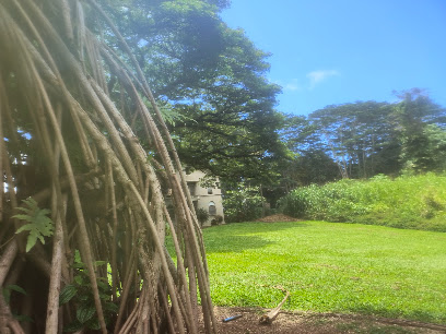 DBA HAWAI'I CARE CHOICES — homepage