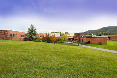 ELDERWOOD AT TICONDEROGA — homepage