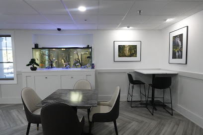 EXCEL CARE AT DOVER — homepage