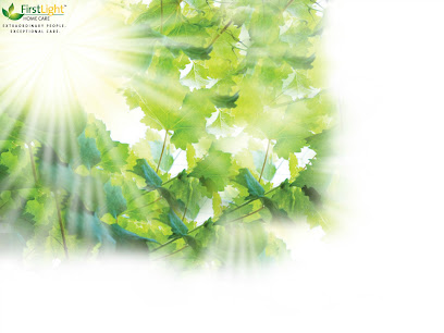 FirstLight Home Care of Clearwater — homepage
