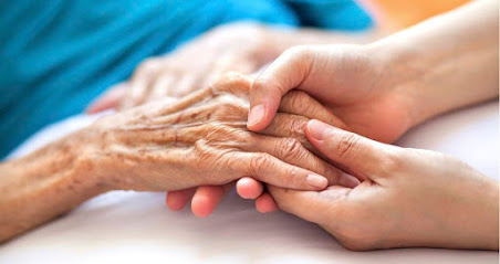 FOUR SEASONS THE CARE YOU TRUST — homepage