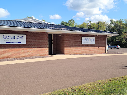 GEISINGER HOSPICE — homepage
