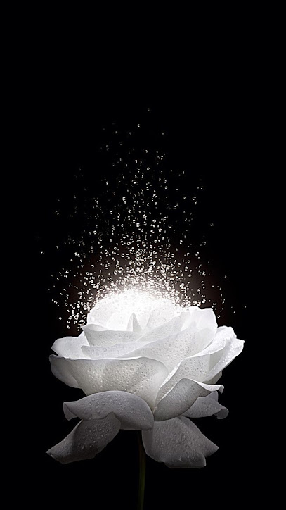 GOLDEN ROSE HOSPICE CARE INC — homepage