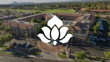 Grand Court of Mesa — homepage