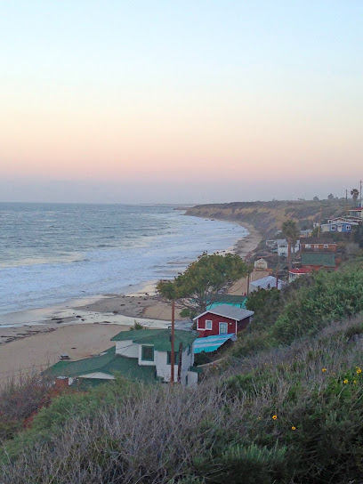 Green Tree Home Care - Orange County — homepage