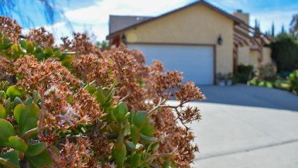 Green Valley Home Care — homepage
