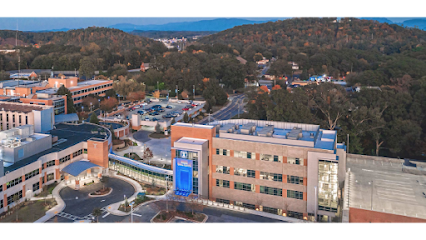 HAMILTON MEDICAL CENTER- HOSPICE — homepage
