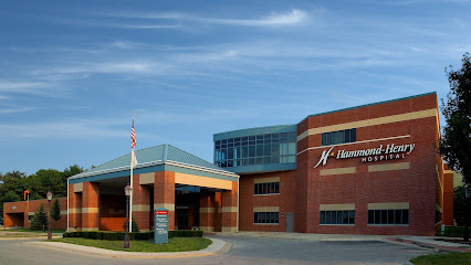 HAMMOND-HENRY DISTRICT HSP — homepage