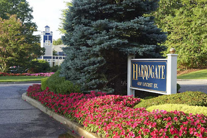 Harrogate Village — homepage