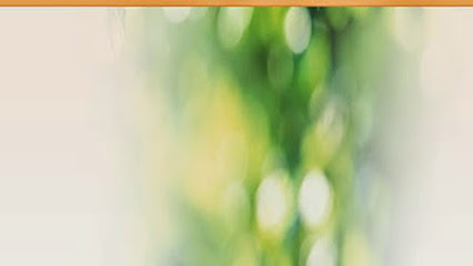HAVEN HOME HEALTH INC — homepage