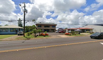 HOME HEALTH KAUAI — homepage