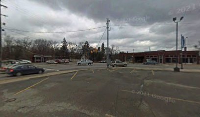 HOSPICE OF MECOSTA COUNTY — homepage