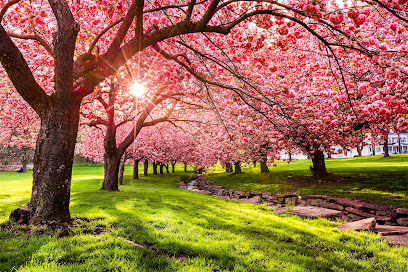 HOSPICE OF NEW JERSEY, LLC — homepage