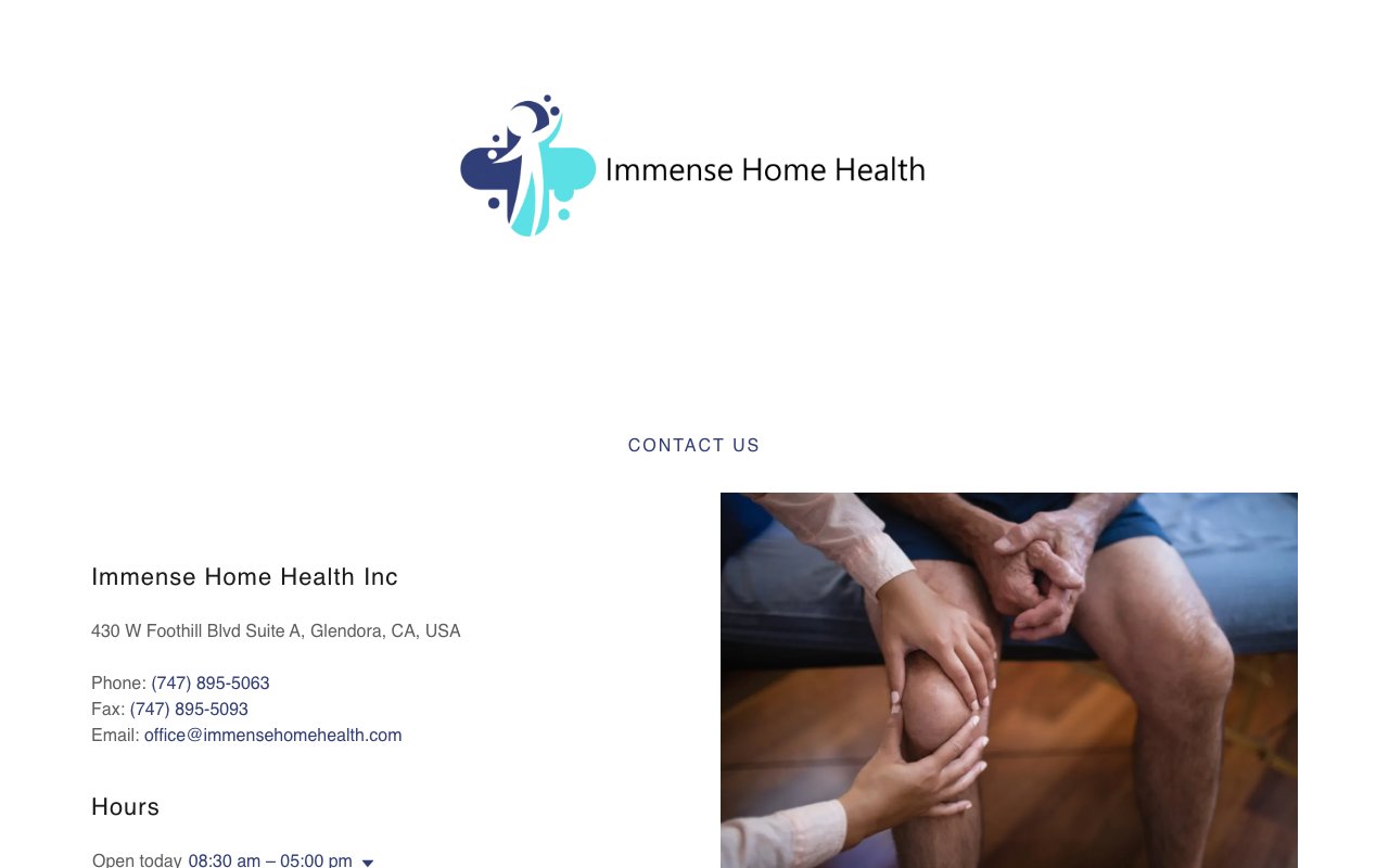 IMMENSE HOME HEALTH INC — homepage