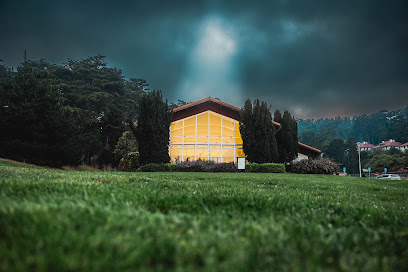 Institute on Aging - Enrichment Center in the Presidio — homepage