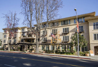 Ivy Park at Studio City — homepage