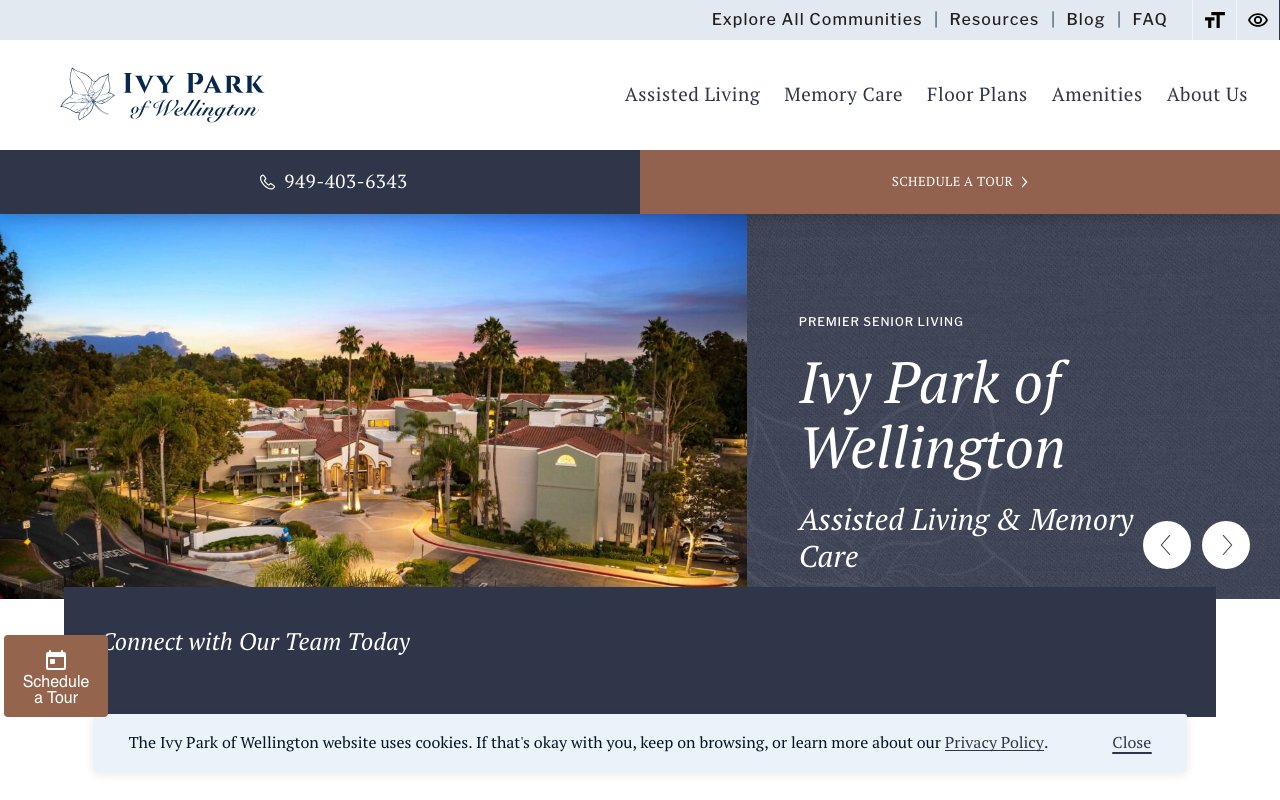 Ivy Park of Wellington — homepage