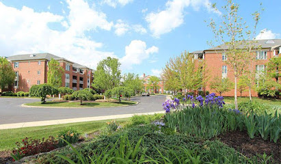 Kirkland Village — homepage