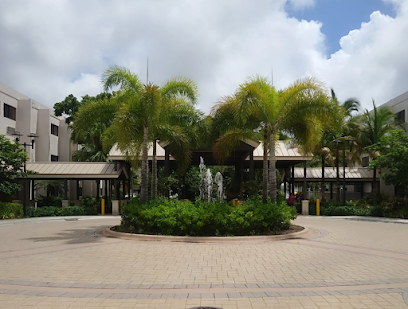 Las Palmas Senior Living — homepage