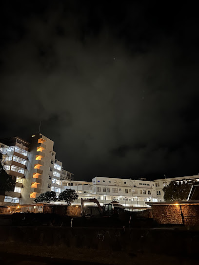LEAHI HOSPITAL — homepage
