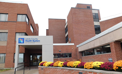 LEWIS COUNTY GENERAL HOSPITAL HOSPICE — homepage