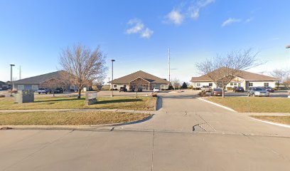 LHC-ILLINOIS HOME HEALTH CARE — homepage